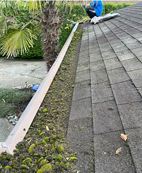 gutter cleaning 2 -before gutter cleaning 2 -before