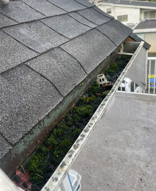 gutter cleaning – before gutter cleaning - before