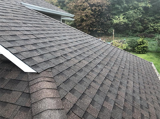 roof clean 3 after roof clean 3 after