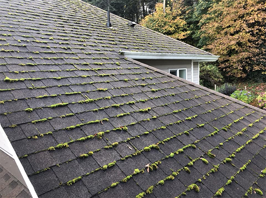 roof clean 3 – before roof clean 3 - before