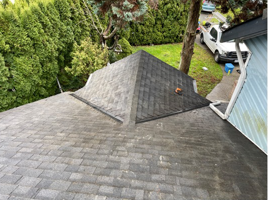 roof cleaning – after roof cleaning - after