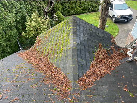 roof cleaning-before roof cleaning-before