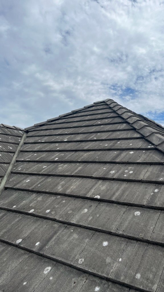 Tile roof after cleaning Surrey