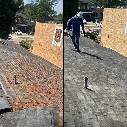 Moss eliminated from a Surrey BC roof