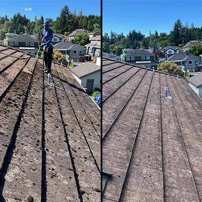 Clean tile roof after moss removal Surrey BC — All Canadian Home Services