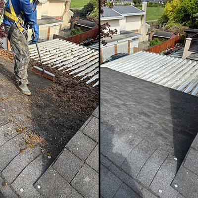 Clean asphalt shingle roof after moss removal Surrey BC — All Canadian Home Services