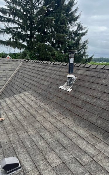 Surrey roof clean after moss removal results — All Canadian Home Services