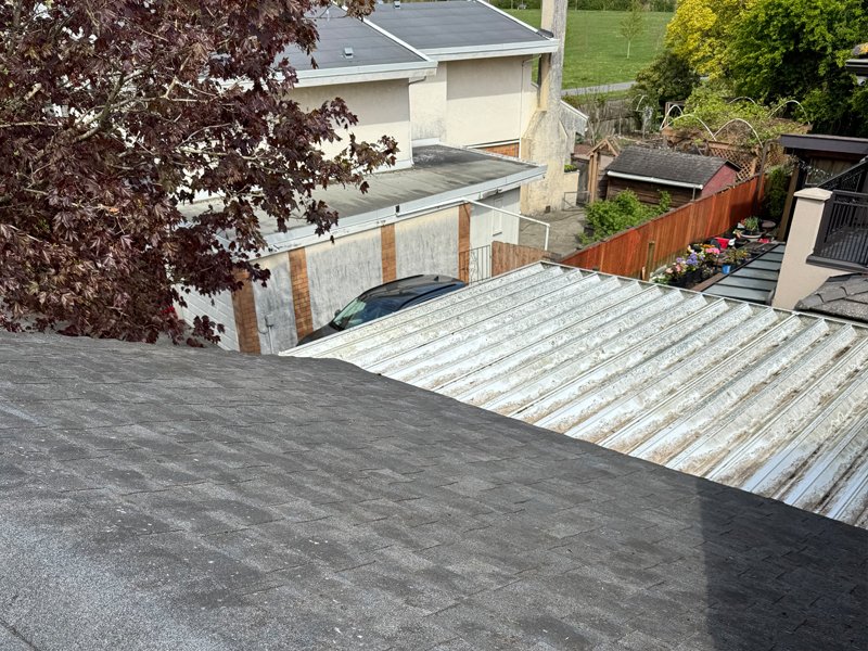 Asphalt shingle roof after moss removal Surrey