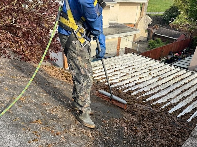 Asphalt shingle roof before moss removal Surrey
