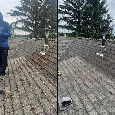 Roof moss removal before and after in Surrey BC