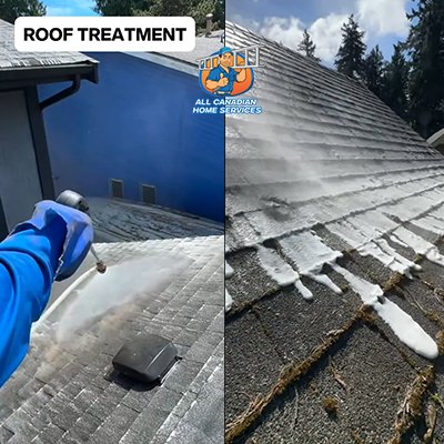 Soft wash roof cleaning in Surrey BC