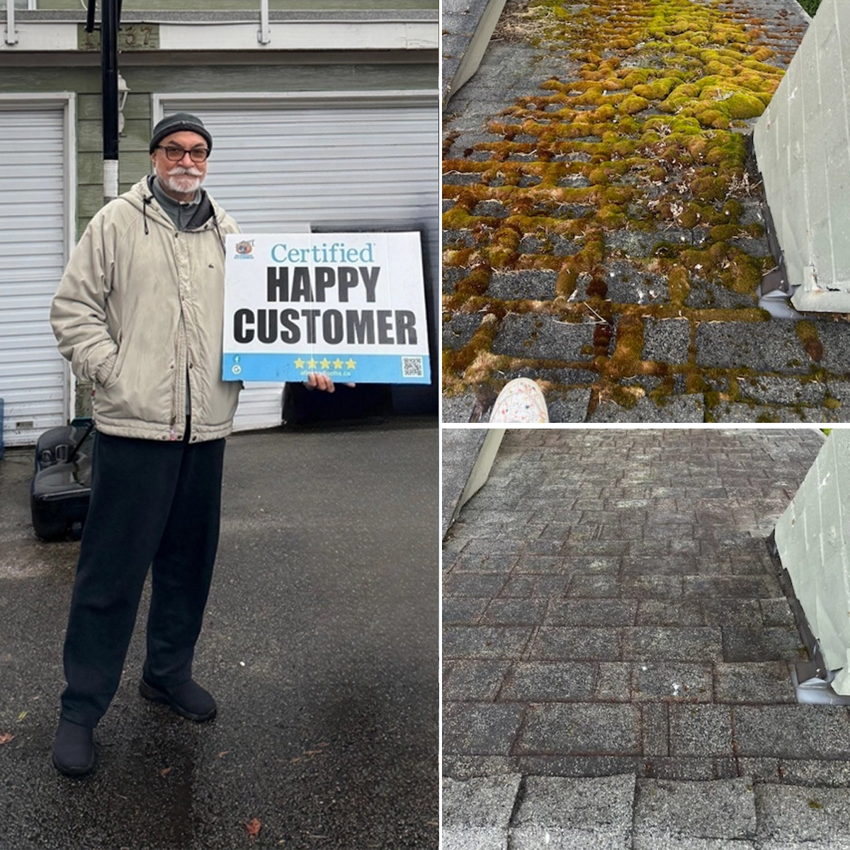 Moss removal from paver walkway in Surrey BC