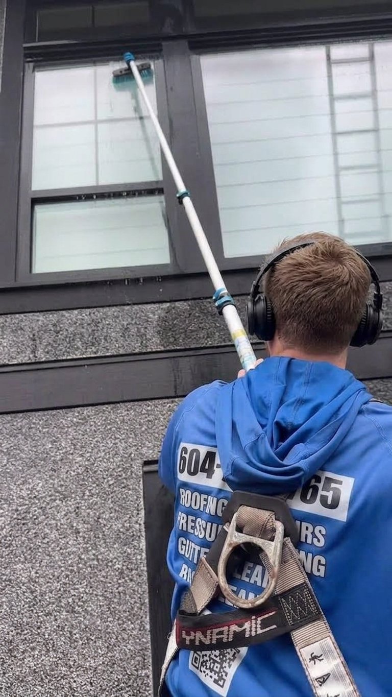 Window cleaner in a safety harness using a water-fed pole on a commercial building