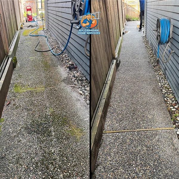Exposed aggregate side path covered in moss before pressure washing in Vancouver BC, clean and clear after