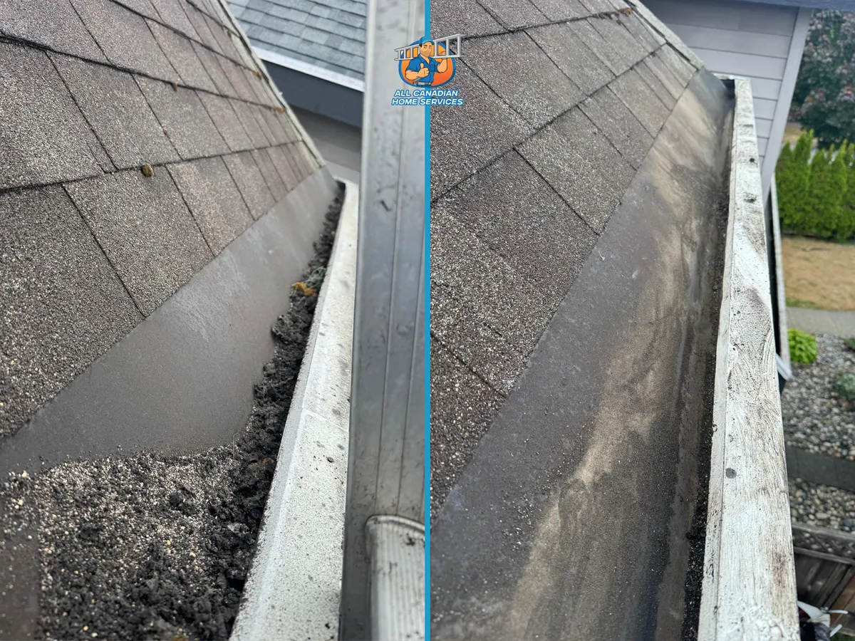 Gutter packed with moss and debris before and after cleaning in Surrey BC