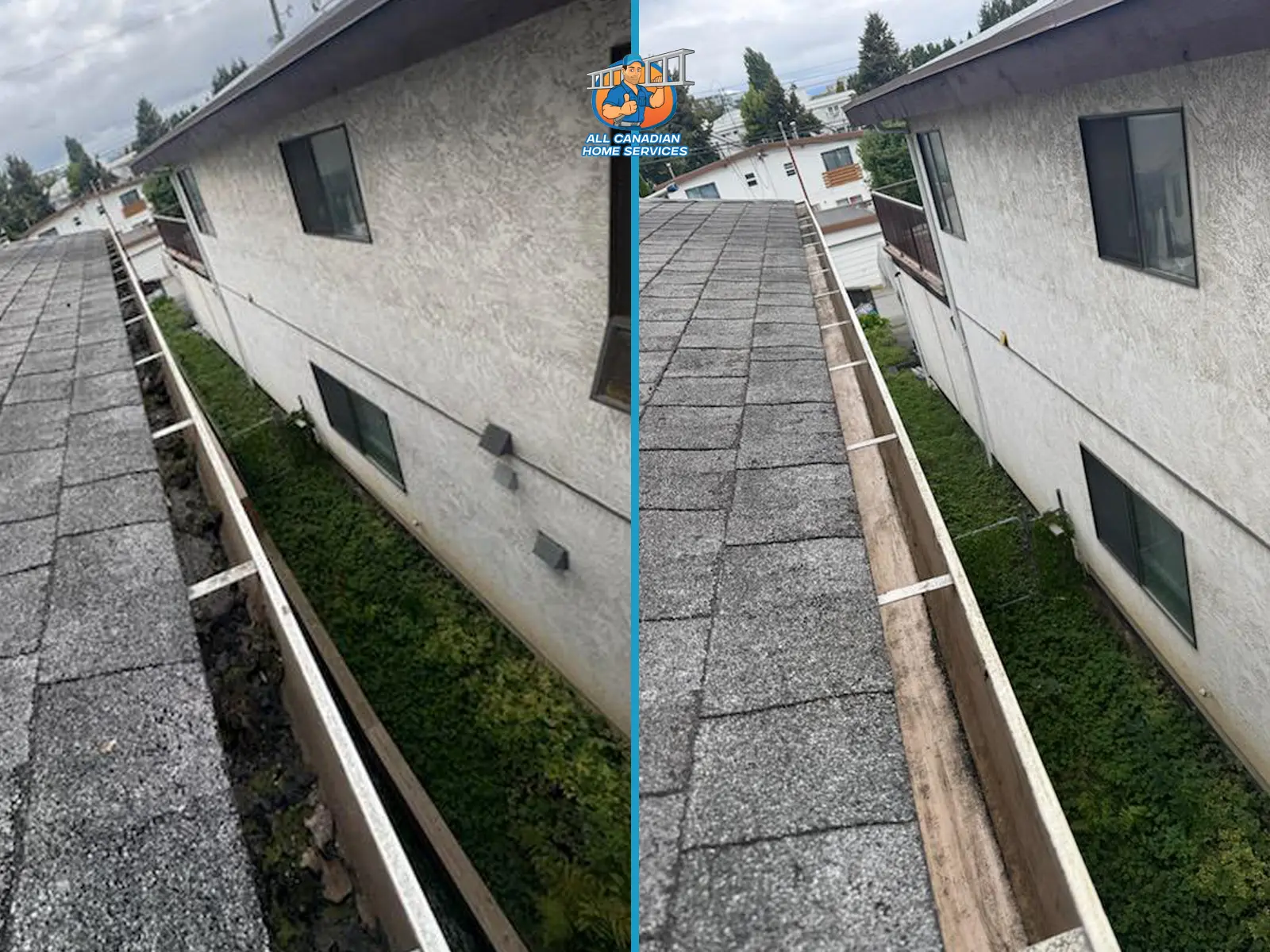 Moss-filled gutter before and after cleaning on a Surrey BC home