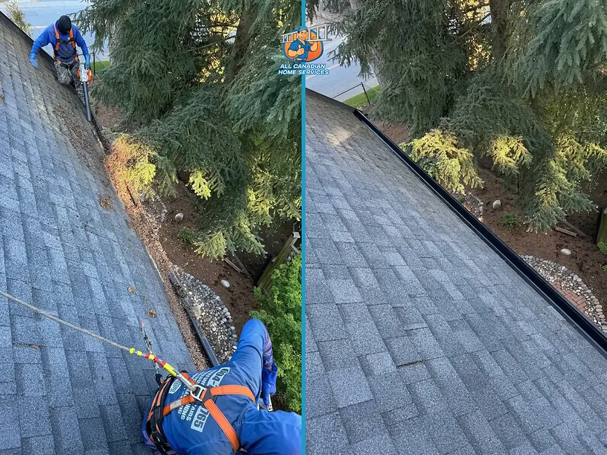 Gutter full of roof debris in Surrey BC before and after cleaning