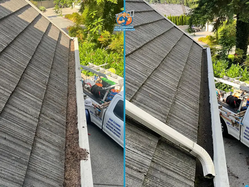 Gutter full of fir needles before and after cleaning on a Surrey BC tile roof