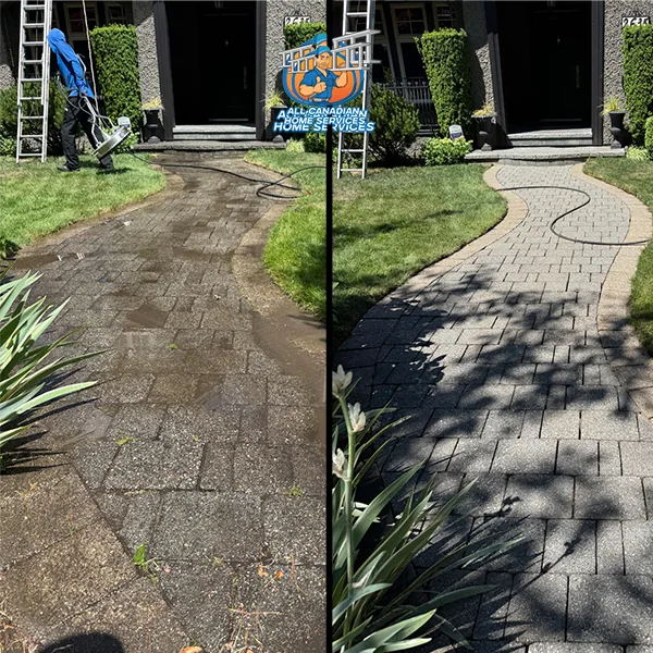 Stained paver walkway in Vancouver BC before pressure washing and the same path clean after