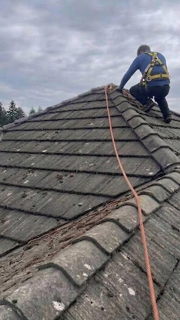 Moss and debris on a concrete tile roof in Surrey BC before cleaning