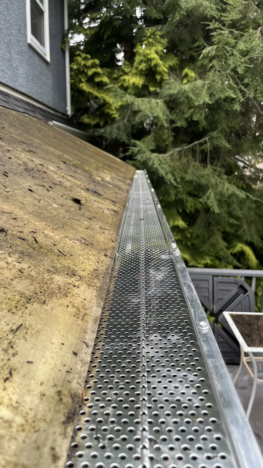 Small-hole aluminum gutter guard installed along a gutter beside a cedar tree