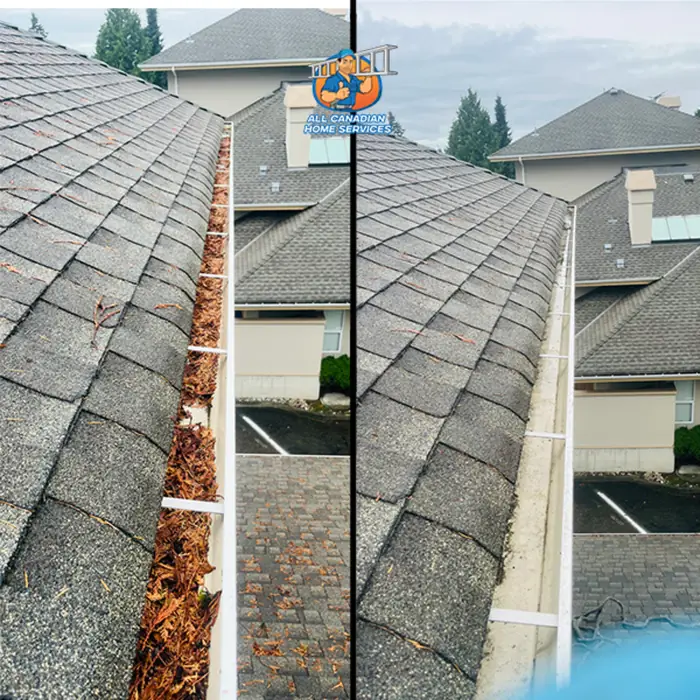 Townhouse complex gutter packed with fir needles before cleaning and the same gutter cleared after, Surrey BC