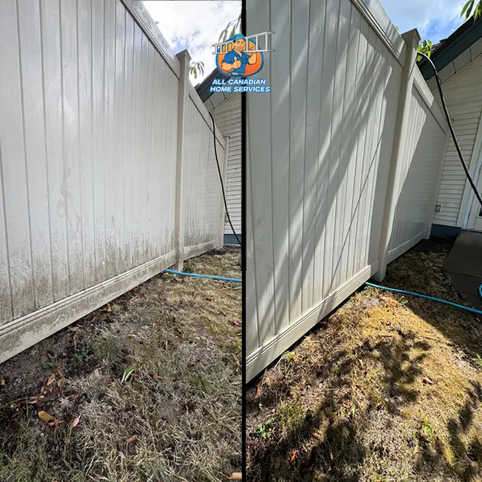 Vinyl siding panel green with algae before soft washing and clean after, Surrey BC